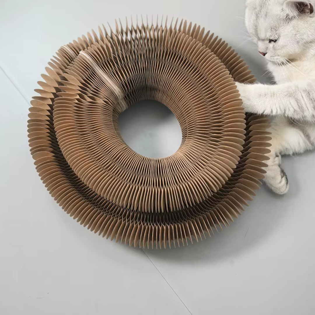 Magic Organ Cat Scratcher Toy